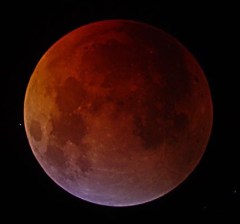 188213main_Anthony-Arrigo-full