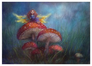 Faery_mushrooms_colour_sml