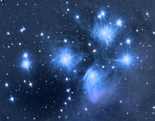 pleiades-wittich