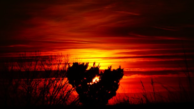 Valentine's Heart Afire