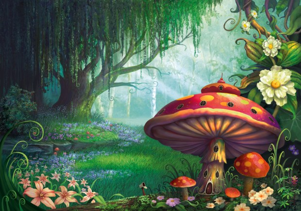 shroom forest