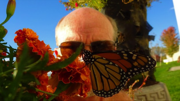 Uncle Tree's angel in orange