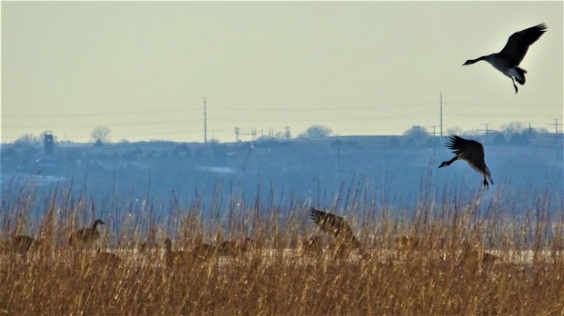 Great Plains Landing 2