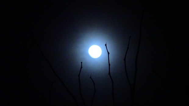Blue Moon