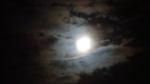 Halo Moon