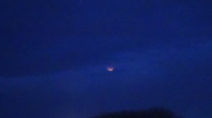 A drip of the blood moon