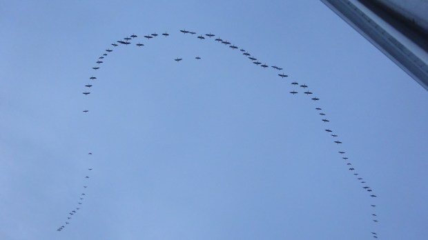 Geese forming a ghost