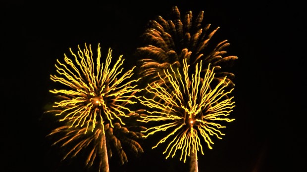Dandelion fireworks
