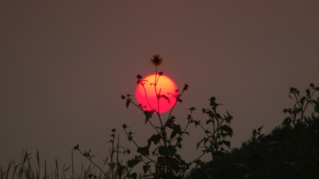 Putting a face on the sun