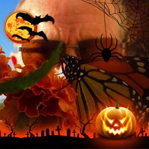 Halloween profile from Facebook